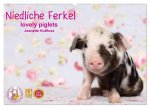 Niedliche Ferkel lovely piglets 2026 (Wandkalender 2026 DIN A2 quer), CALVENDO Monatskalender