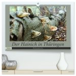 Der Hainich in Thüringen - Weltnaturerbe (hochwertiger Premium Wandkalender 2026 DIN A2 quer), Kunstdruck in Hochglanz