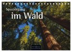 Spaziergang im Wald (Tischkalender 2026 DIN A5 quer), CALVENDO Monatskalender