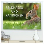 Feldhasen und Kaninchen (hochwertiger Premium Wandkalender 2026 DIN A2 quer), Kunstdruck in Hochglanz