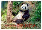 Niedlicher Panda (Wandkalender 2026 DIN A2 quer), CALVENDO Monatskalender