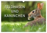 Feldhasen und Kaninchen (Wandkalender 2026 DIN A3 quer), CALVENDO Monatskalender