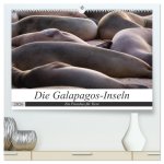 Galapagos-Inseln - Ein Paradies für Tiere (hochwertiger Premium Wandkalender 2026 DIN A2 quer), Kunstdruck in Hochglanz