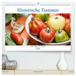 Historische Tomaten - Alte Schätze neu entdeckt (hochwertiger Premium Wandkalender 2026 DIN A2 quer), Kunstdruck in Hochglanz