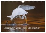 Eleganz in Weiß - Der Silberreiher (Wandkalender 2026 DIN A4 quer), CALVENDO Monatskalender