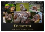 Fischotter - putzige Kerlchen und elegante Schwimmer (Wandkalender 2026 DIN A2 quer), CALVENDO Monatskalender