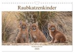 Raubkatzenkinder (Wandkalender 2026 DIN A4 quer), CALVENDO Monatskalender