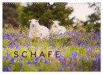 Schafe - Weich und wollig (Wandkalender 2026 DIN A3 quer), CALVENDO Monatskalender