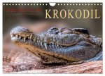 Urzeitreptilien - Krokodil (Wandkalender 2026 DIN A4 quer), CALVENDO Monatskalender