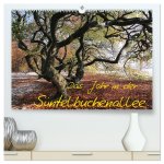 Das Jahr in der Süntelbuchenallee (hochwertiger Premium Wandkalender 2026 DIN A2 quer), Kunstdruck in Hochglanz