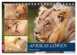Afrikas Löwen 2026 (Tischkalender 2026 DIN A5 quer), CALVENDO Monatskalender