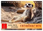 Erdmännchen - klein, frech, neugierig (Tischkalender 2026 DIN A5 quer), CALVENDO Monatskalender