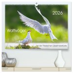 Wattvögel an der Friesischen IJsselmeerküste (hochwertiger Premium Wandkalender 2026 DIN A2 quer), Kunstdruck in Hochglanz