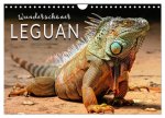 Wunderschöner Leguan (Wandkalender 2026 DIN A4 quer), CALVENDO Monatskalender