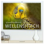 Wunderschöner Wellensittich (hochwertiger Premium Wandkalender 2026 DIN A2 quer), Kunstdruck in Hochglanz