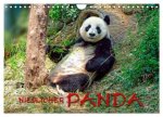 Niedlicher Panda (Wandkalender 2026 DIN A4 quer), CALVENDO Monatskalender