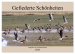 Gefiederte Schönheiten - Wildgänse in Norddeutschland (Wandkalender 2026 DIN A2 quer), CALVENDO Monatskalender