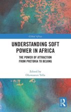 Understanding Soft Power in Africa