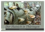 Der Hainich in Thüringen - Weltnaturerbe (Wandkalender 2026 DIN A4 quer), CALVENDO Monatskalender