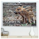 Unverwechselbar - Wildschwein (hochwertiger Premium Wandkalender 2026 DIN A2 quer), Kunstdruck in Hochglanz