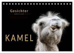 Kamel Gesichter (Tischkalender 2026 DIN A5 quer), CALVENDO Monatskalender