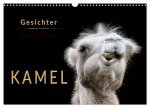 Kamel Gesichter (Wandkalender 2026 DIN A3 quer), CALVENDO Monatskalender