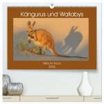 Kängururs und Wallabys (hochwertiger Premium Wandkalender 2026 DIN A2 quer), Kunstdruck in Hochglanz