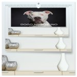 DOGO ARGENTINO (hochwertiger Premium Wandkalender 2026 DIN A2 quer), Kunstdruck in Hochglanz
