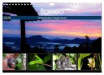 Borneo - Tierparadies Regenwald (Wandkalender 2026 DIN A4 quer), CALVENDO Monatskalender