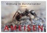 Ameisen - Ordnung im Durcheinander (Tischkalender 2026 DIN A5 quer), CALVENDO Monatskalender