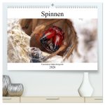 Faszination Makrofotografie: Spinnen (hochwertiger Premium Wandkalender 2026 DIN A2 quer), Kunstdruck in Hochglanz