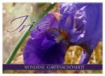 Iris - mondäne Gartenschönheit (Wandkalender 2026 DIN A2 quer), CALVENDO Monatskalender