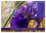 Iris - mondäne Gartenschönheit (Tischkalender 2026 DIN A5 quer), CALVENDO Monatskalender