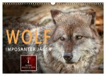 Wolf - Imposanter Jäger (Wandkalender 2026 DIN A3 quer), CALVENDO Monatskalender