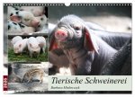 Tierische Schweinerei (Wandkalender 2026 DIN A3 quer), CALVENDO Monatskalender