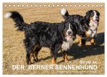 So ist er. Der Berner Sennenhund (Tischkalender 2026 DIN A5 quer), CALVENDO Monatskalender