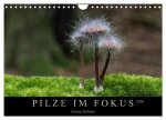 PILZE IM FOKUS 2026 (Wandkalender 2026 DIN A4 quer), CALVENDO Monatskalender