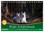 Weiße Schäferhunde in schönen Landschaften (Tischkalender 2026 DIN A5 quer), CALVENDO Monatskalender