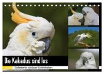 Die Kakadus sind los (Tischkalender 2026 DIN A5 quer), CALVENDO Monatskalender