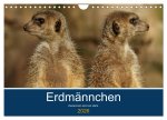 Erdmännchen - Zusammen sind wir stark (Wandkalender 2026 DIN A4 quer), CALVENDO Monatskalender