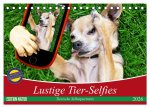 Lustige Tier-Selfies. Tierische Selbstportraits (Tischkalender 2026 DIN A5 quer), CALVENDO Monatskalender