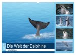 Die Welt der Delphine (Wandkalender 2026 DIN A2 quer), CALVENDO Monatskalender