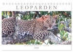 Leoparden - Geheimnisvolle Jäger (Tischkalender 2026 DIN A5 quer), CALVENDO Monatskalender
