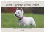 West Highland White Terrier - Selbstbewustes Powerpaket - der Westie (Wandkalender 2026 DIN A4 quer), CALVENDO Monatskalender