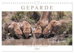 Geparde - Jäger der Savanne (Wandkalender 2026 DIN A4 quer), CALVENDO Monatskalender