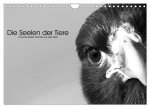 Die Seelen der wilden Tiere (Wandkalender 2026 DIN A4 quer), CALVENDO Monatskalender