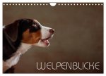 Welpenblicke (Wandkalender 2026 DIN A4 quer), CALVENDO Monatskalender