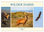 Wilder Darß - Fuchs, Hirsch und Co. 2026 (Wandkalender 2026 DIN A4 quer), CALVENDO Monatskalender