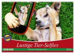 Lustige Tier-Selfies. Tierische Selbstportraits (Wandkalender 2026 DIN A2 quer), CALVENDO Monatskalender