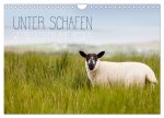 Unter Schafen - Wegbegleiter auf Reisen (Wandkalender 2026 DIN A4 quer), CALVENDO Monatskalender